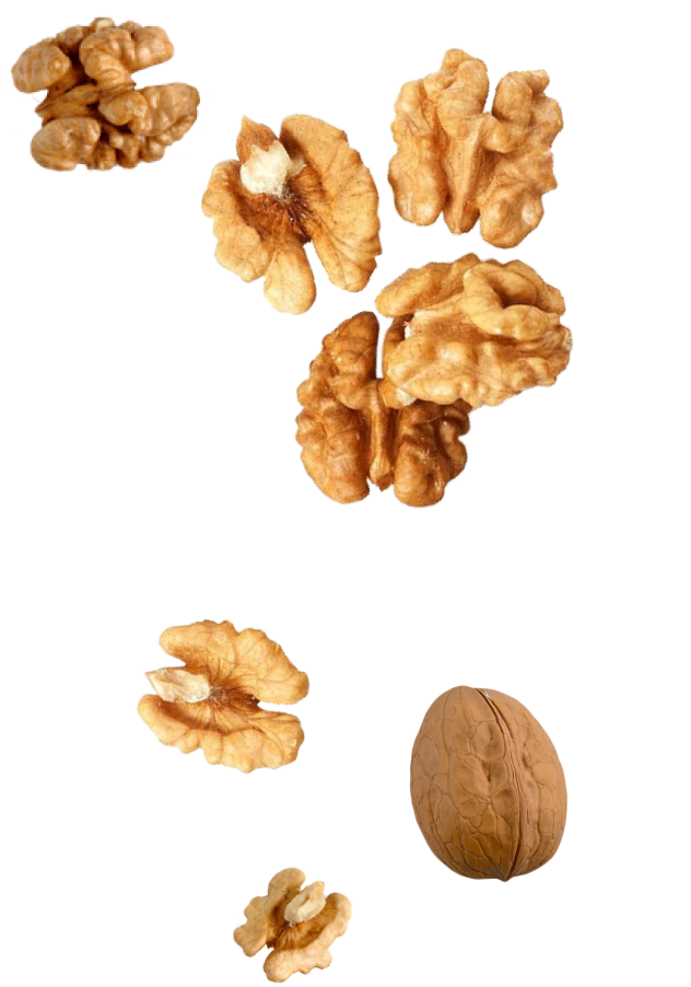 Nueces cayendo